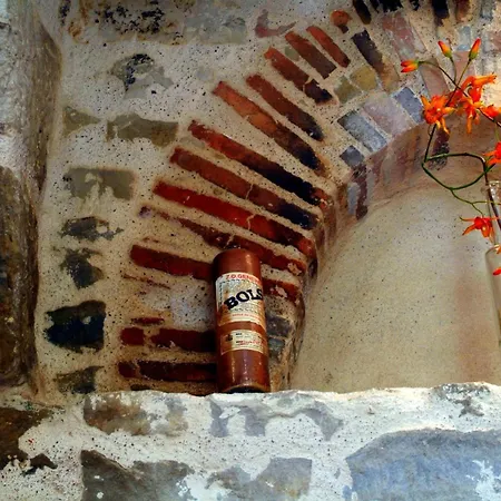 Le Petit Paradis 度假居